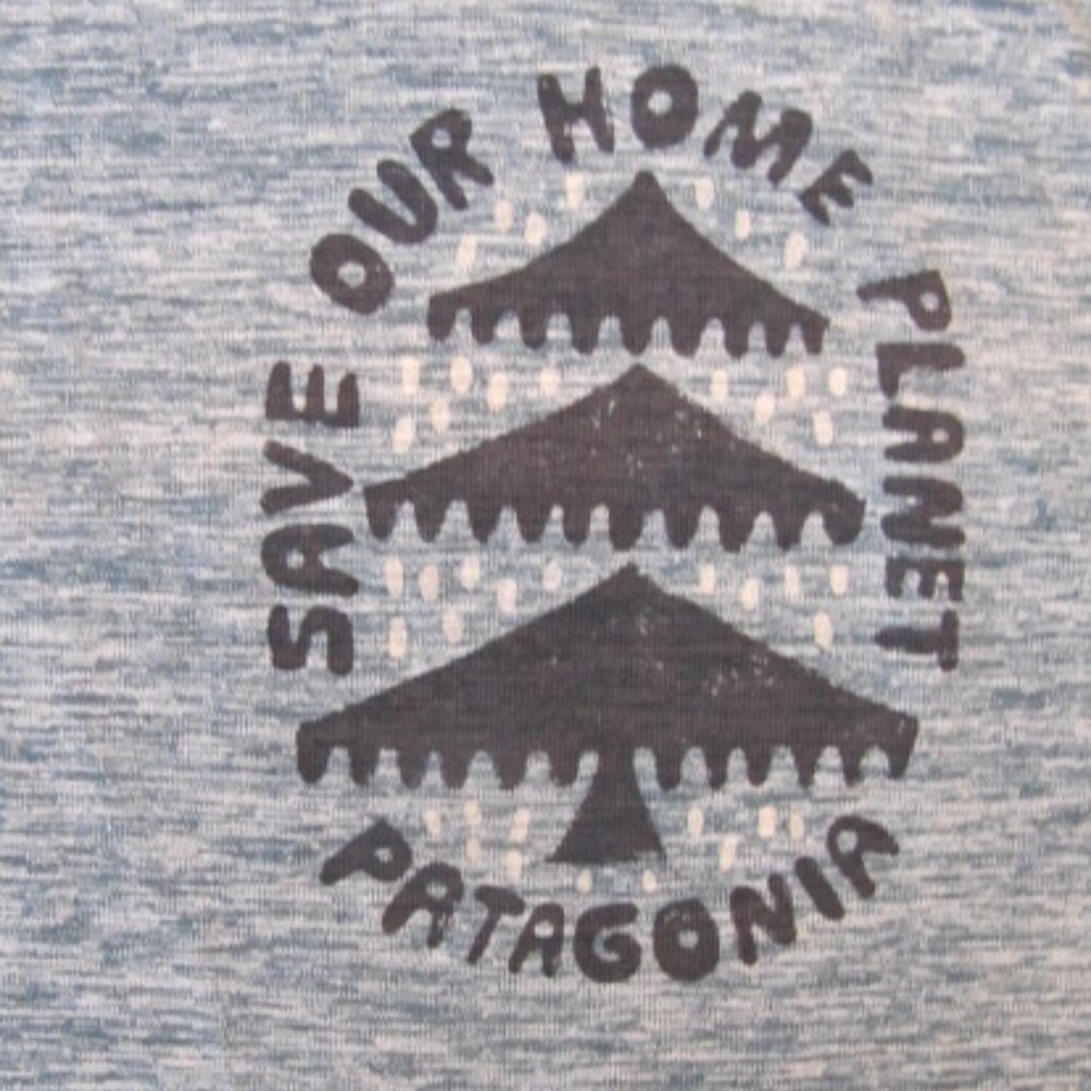 Patagonia Mens Capilene Daily Graphic Trail shirt small